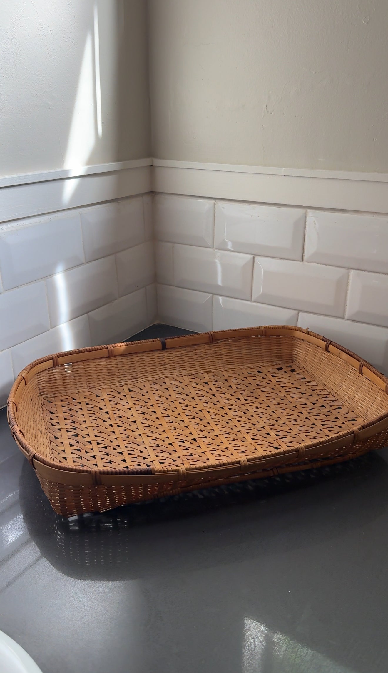 Large Wicker Tray