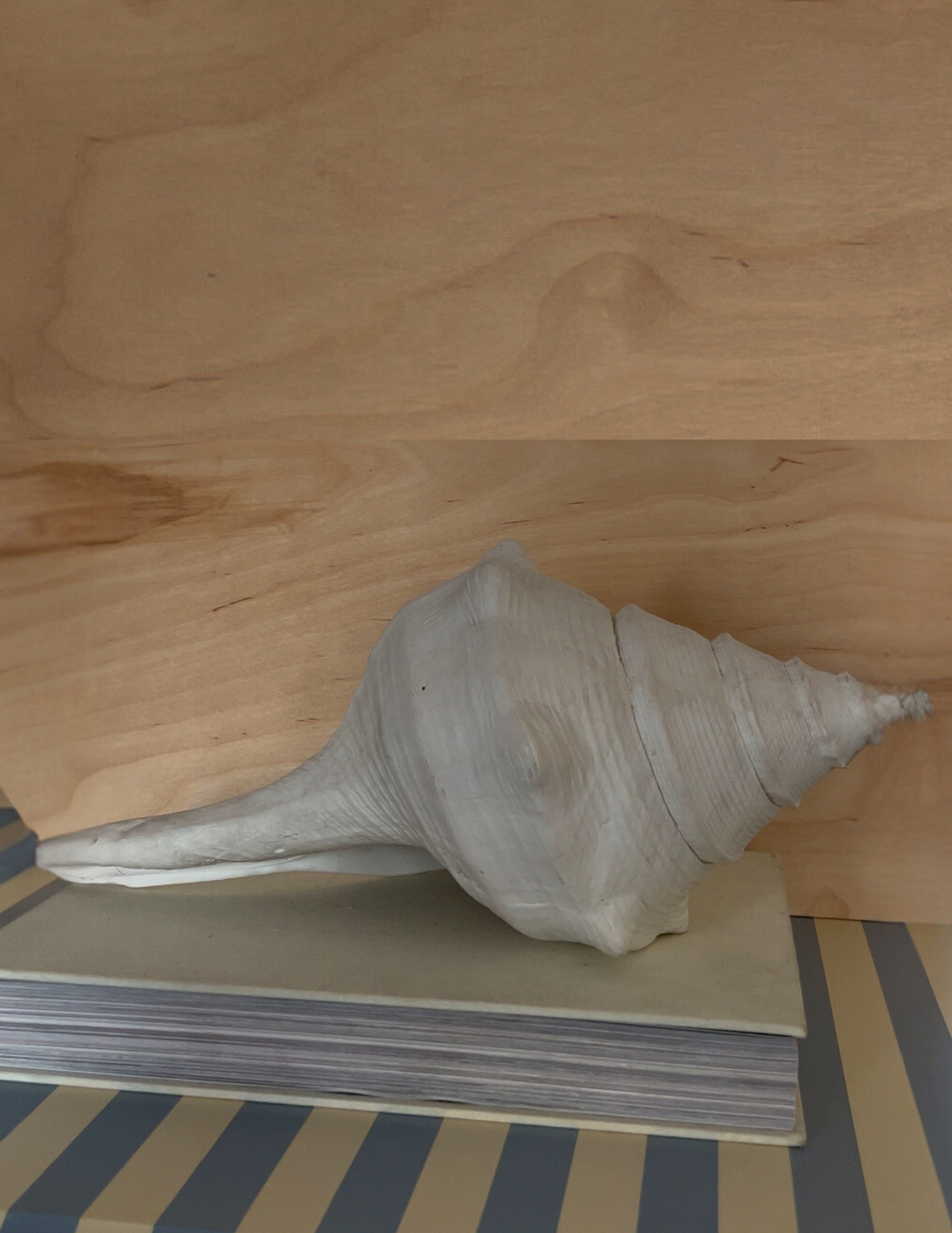 Shell Decor
