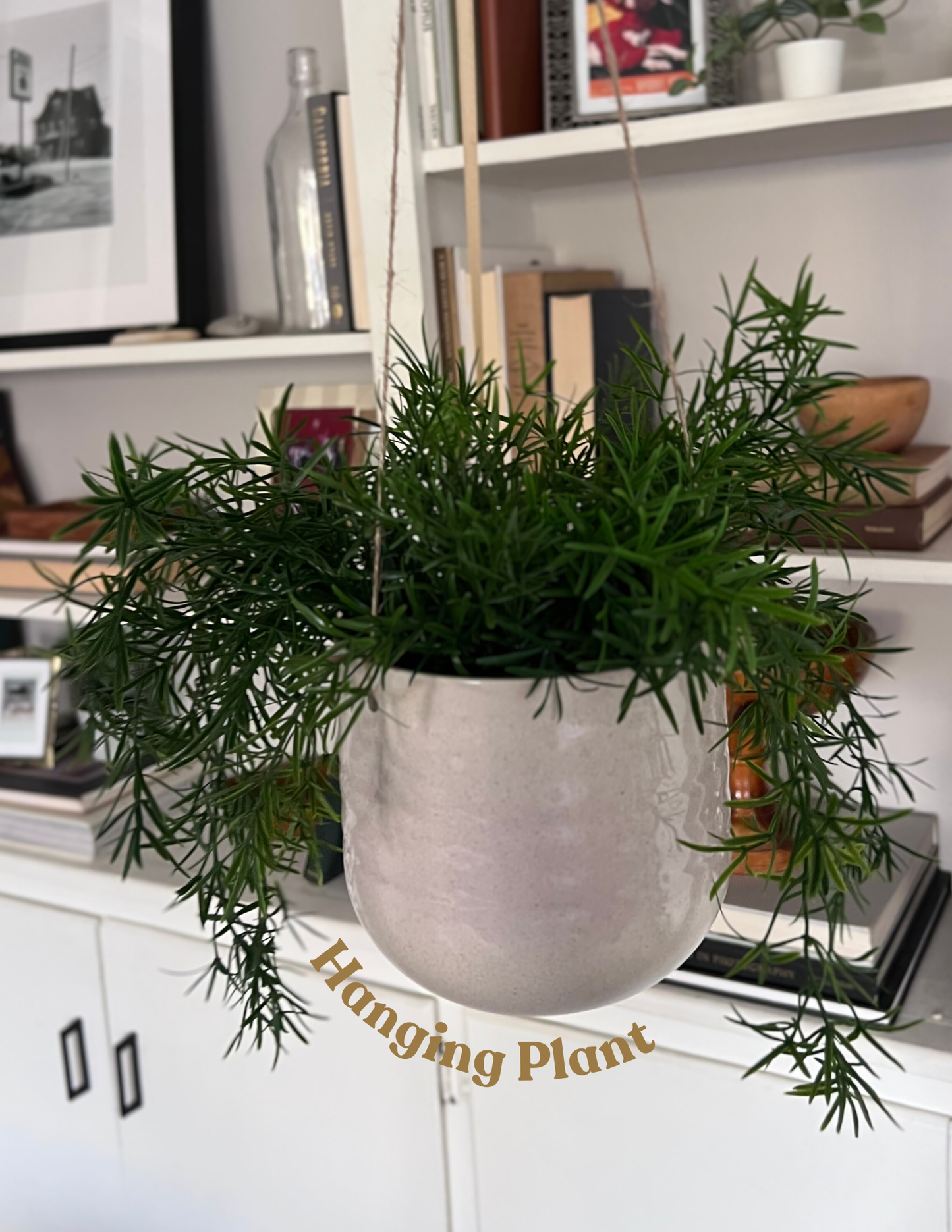 Artificial Hanging Plant